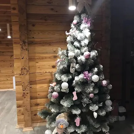 Golden Nest Appartement Yablunytsia