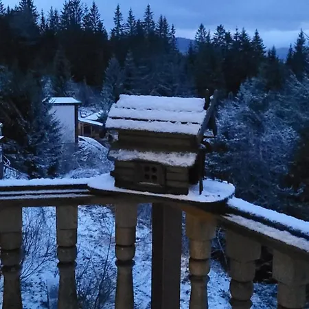 Golden Nest Yablunytsia