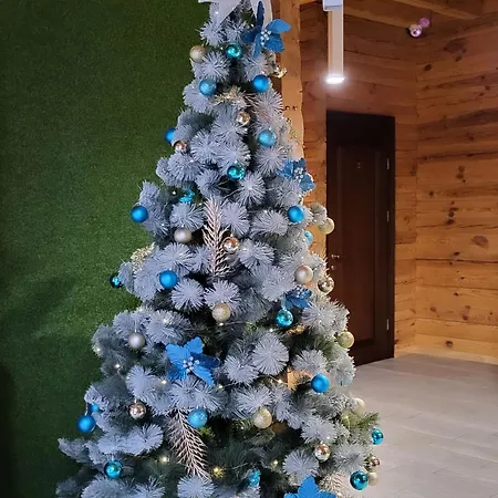 Golden Nest Yablunytsya