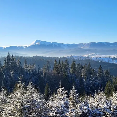 Golden Nest 아파트