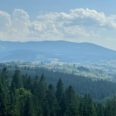 Golden Nest Appartement *