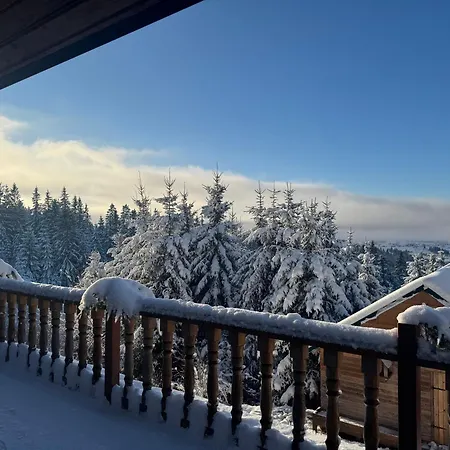 Golden Nest * Yablunytsya