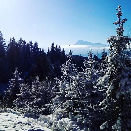 Appartement Golden Nest *