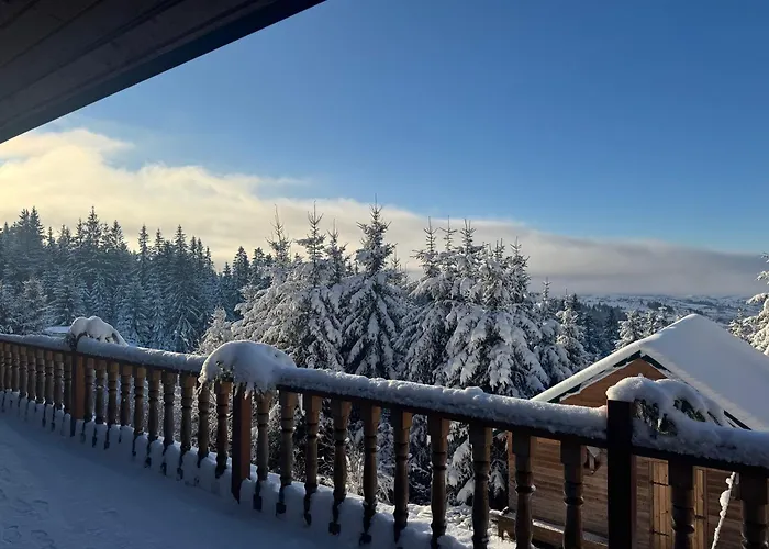 Golden Nest * Yablunytsya