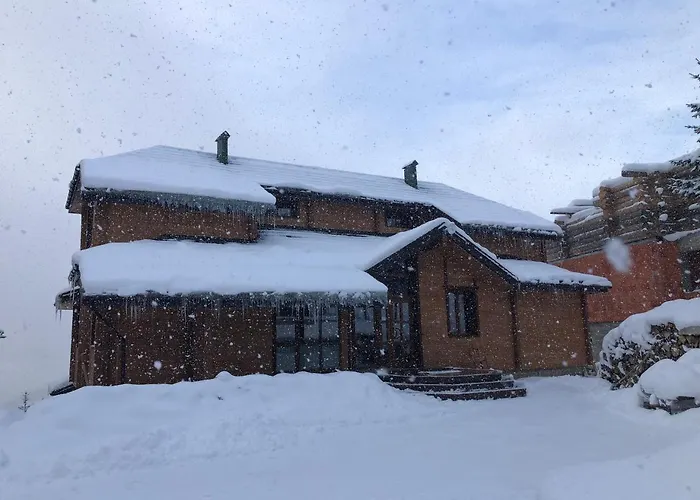 Golden Nest Daire Yablunytsia