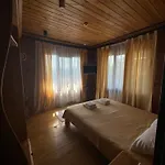 Golden Nest