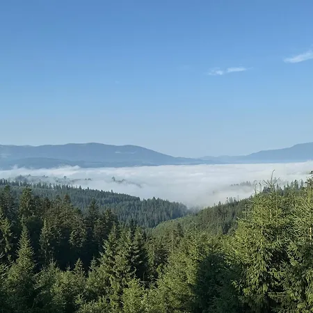 Golden Nest Lejlighed Yablunytsya
