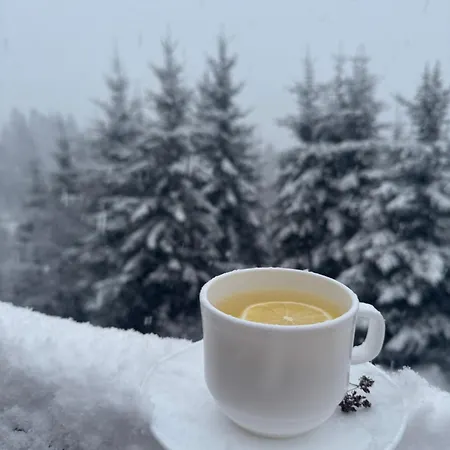 Golden Nest Yablunytsya